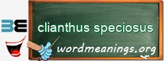 WordMeaning blackboard for clianthus speciosus